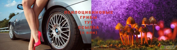 соль ск Новочеркасск