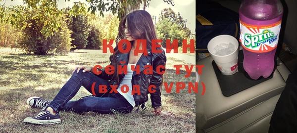 индика Навашино