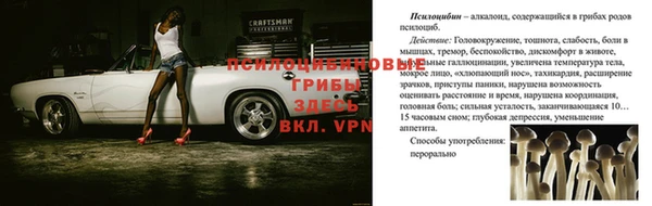 прущая мука Надым