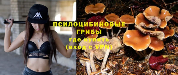 индика Навашино