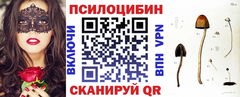 Псилоцибиновые грибы ЛСД  наркошоп  Новая Усмань 